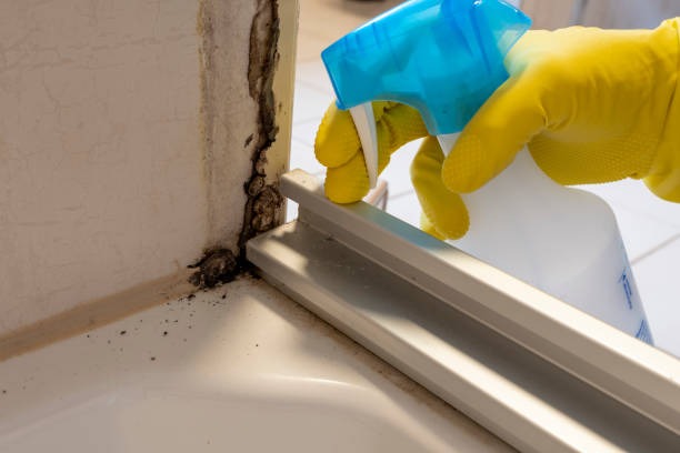Best Crawl Space Mold Removal  in West Slope, OR