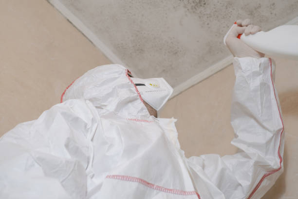 Best Emergency Mold Removal  in West Slope, OR