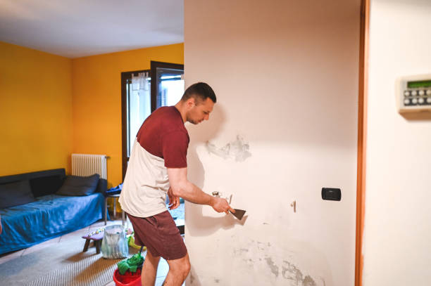 Best Crawl Space Mold Removal  in West Slope, OR